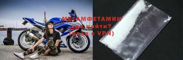 гидра Каменка