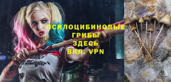 кокаин премиум Каменск-Шахтинский