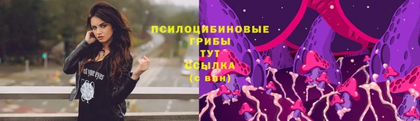 твердый Кодинск