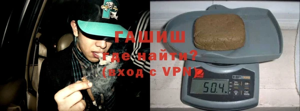гидра Каменка