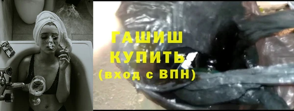 гидра Каменка