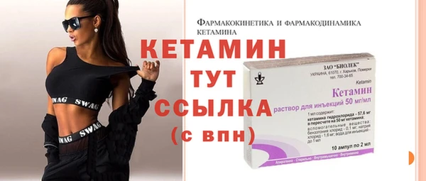 гидра Каменка