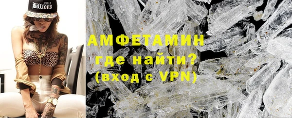 гидра Каменка