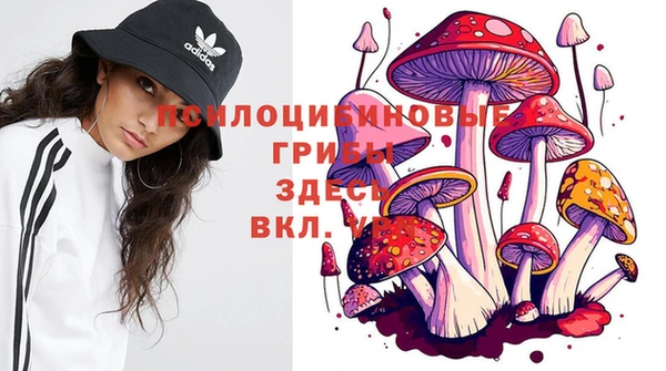 твердый Кодинск