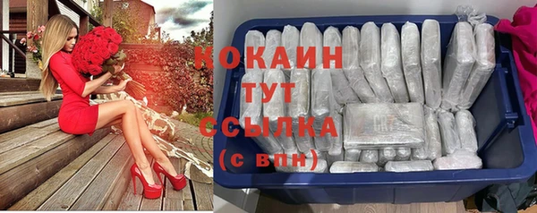 твердый Касимов