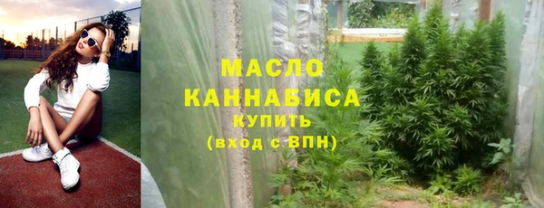 гидра Каменка