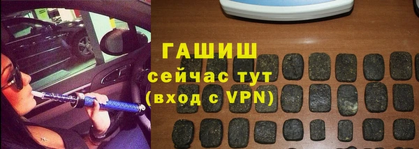 гидра Каменка