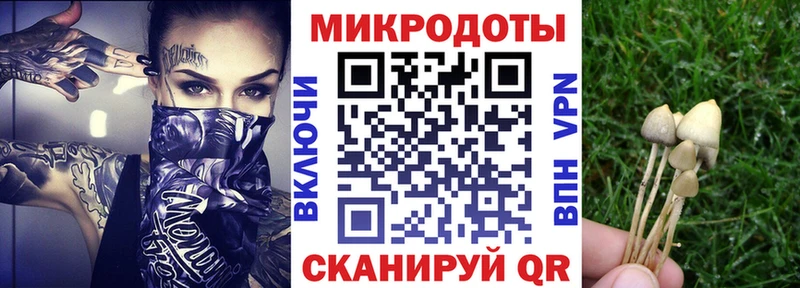 Купить закладки  Камызяк  Псилоцибиновые грибы Psilocybe 
